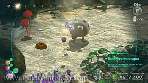 Pikmin 3