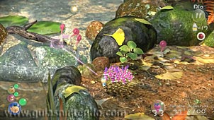 Pikmin 3