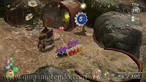 Pikmin 3