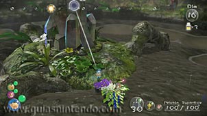 Pikmin 3