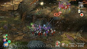 Pikmin 3