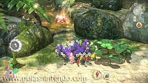 Pikmin 3