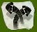 Splatoon