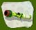 Splatoon