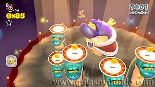 Super Mario 3D World