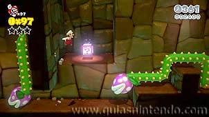 Super Mario 3D World
