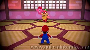 Super Mario 3D World