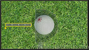 Wii Sports Club