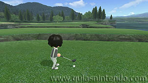 Wii Sports Club