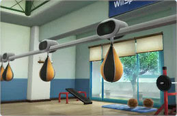 Wii Sports Club