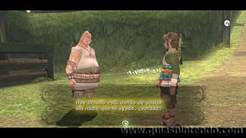 The Legend of Zelda: Twilight Princess HD