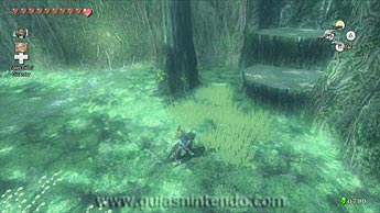 The Legend of Zelda: Twilight Princess HD