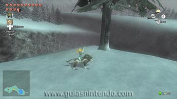 The Legend of Zelda: Twilight Princess HD