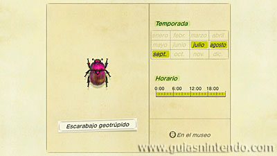 Animal Crossing: New Horizons