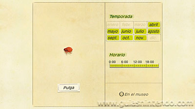 Animal Crossing: New Horizons