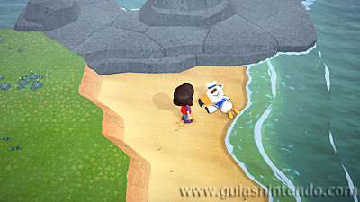 Animal Crossing: New Horizons