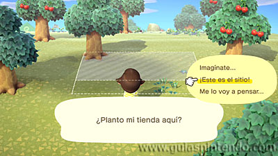 Animal Crossing: New Horizons