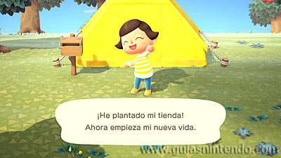Animal Crossing: New Horizons