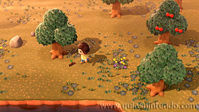 Animal Crossing: New Horizons