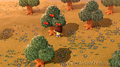 Animal Crossing: New Horizons