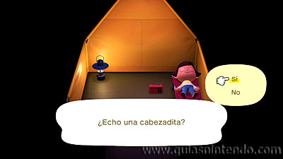 Animal Crossing: New Horizons