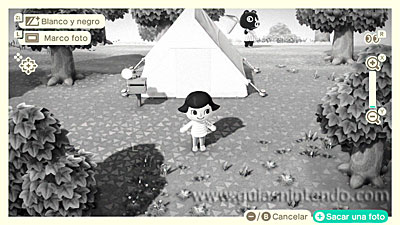Animal Crossing: New Horizons
