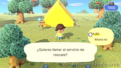 Animal Crossing: New Horizons