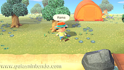 Animal Crossing: New Horizons