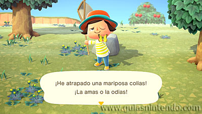 Animal Crossing: New Horizons