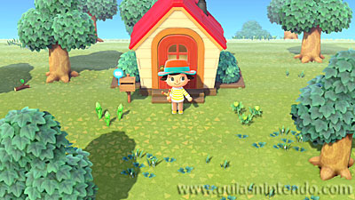 Animal Crossing: New Horizons