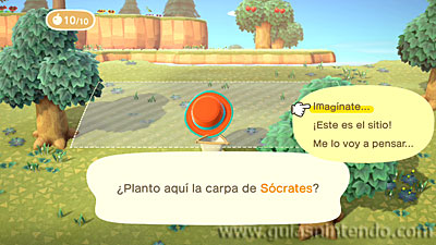 Animal Crossing: New Horizons