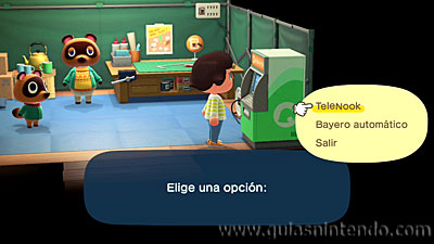 Animal Crossing: New Horizons