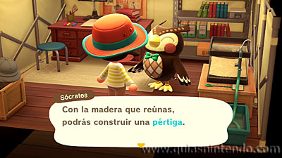 Animal Crossing: New Horizons