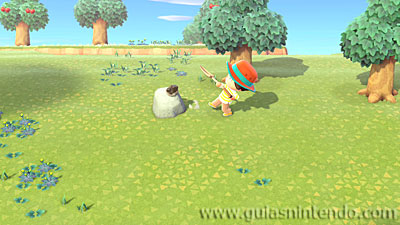 Animal Crossing: New Horizons
