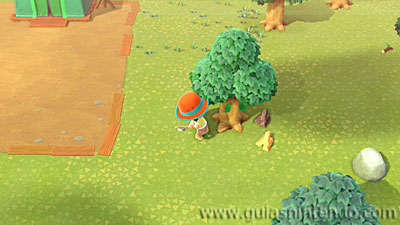 Animal Crossing: New Horizons