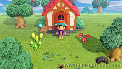 Animal Crossing: New Horizons