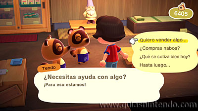 Animal Crossing: New Horizons