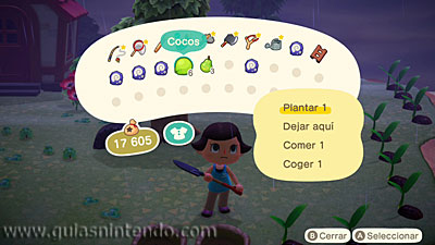 Animal Crossing: New Horizons