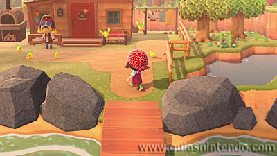 Animal Crossing: New Horizons
