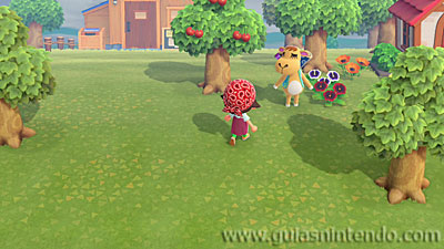 Animal Crossing: New Horizons
