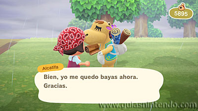Animal Crossing: New Horizons
