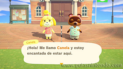 Animal Crossing: New Horizons