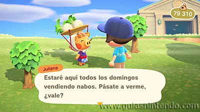 Animal Crossing: New Horizons
