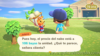 Animal Crossing: New Horizons