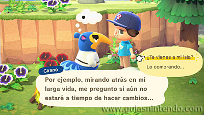 Animal Crossing: New Horizons