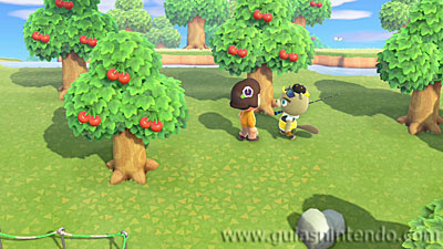 Animal Crossing: New Horizons