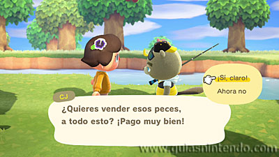Animal Crossing: New Horizons