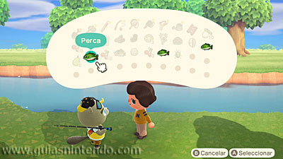 Animal Crossing: New Horizons