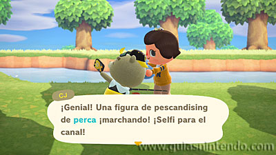 Animal Crossing: New Horizons