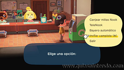 Animal Crossing: New Horizons